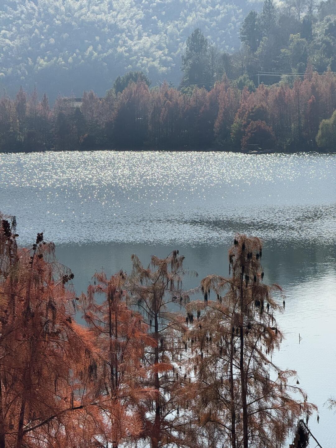 用一张绝美live图打开秋天🍂！！