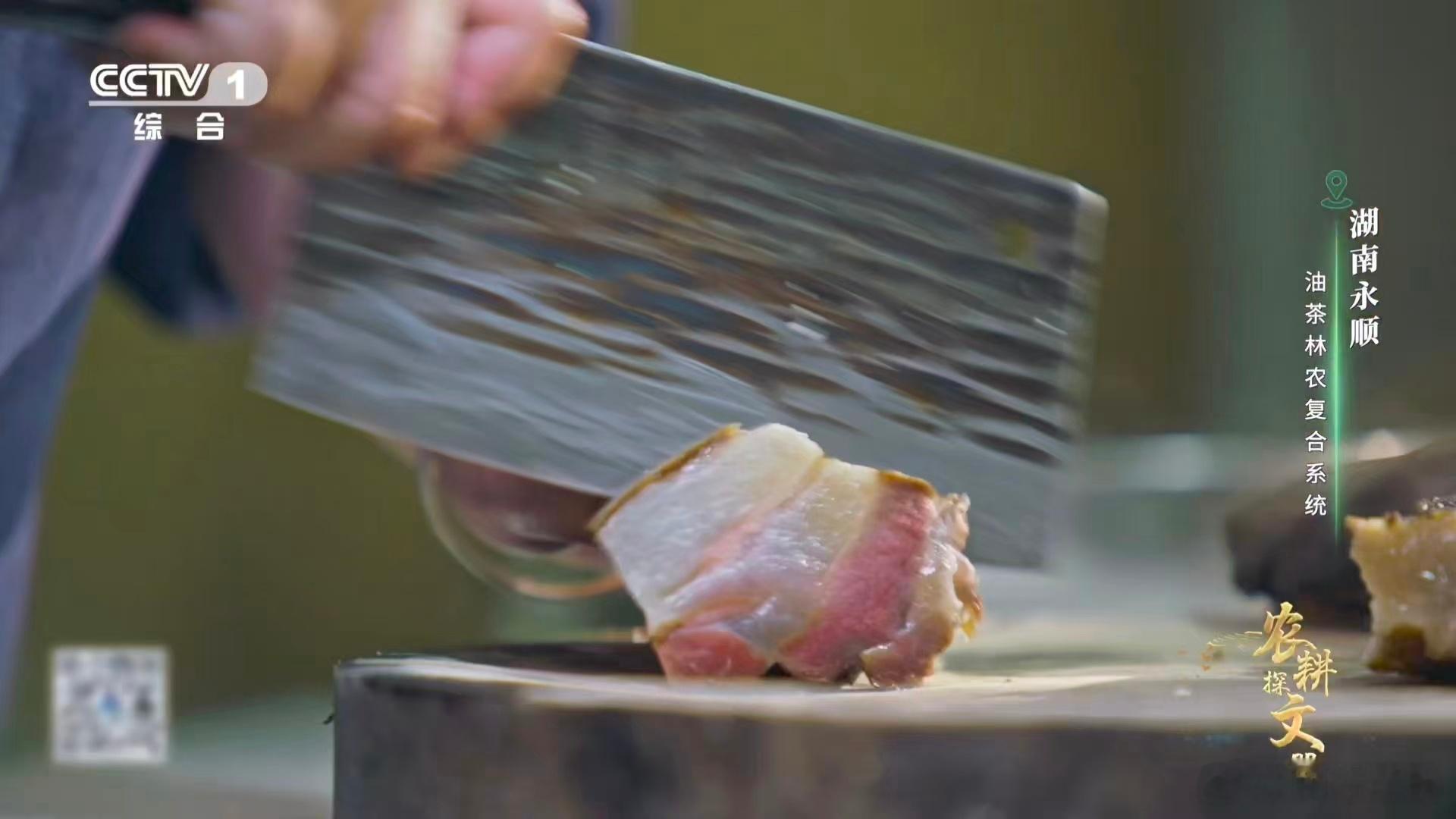 油茶榨干成了洗头神器把油茶榨干后的残渣变成洗头神器，这种变废为宝的思路，既环保又