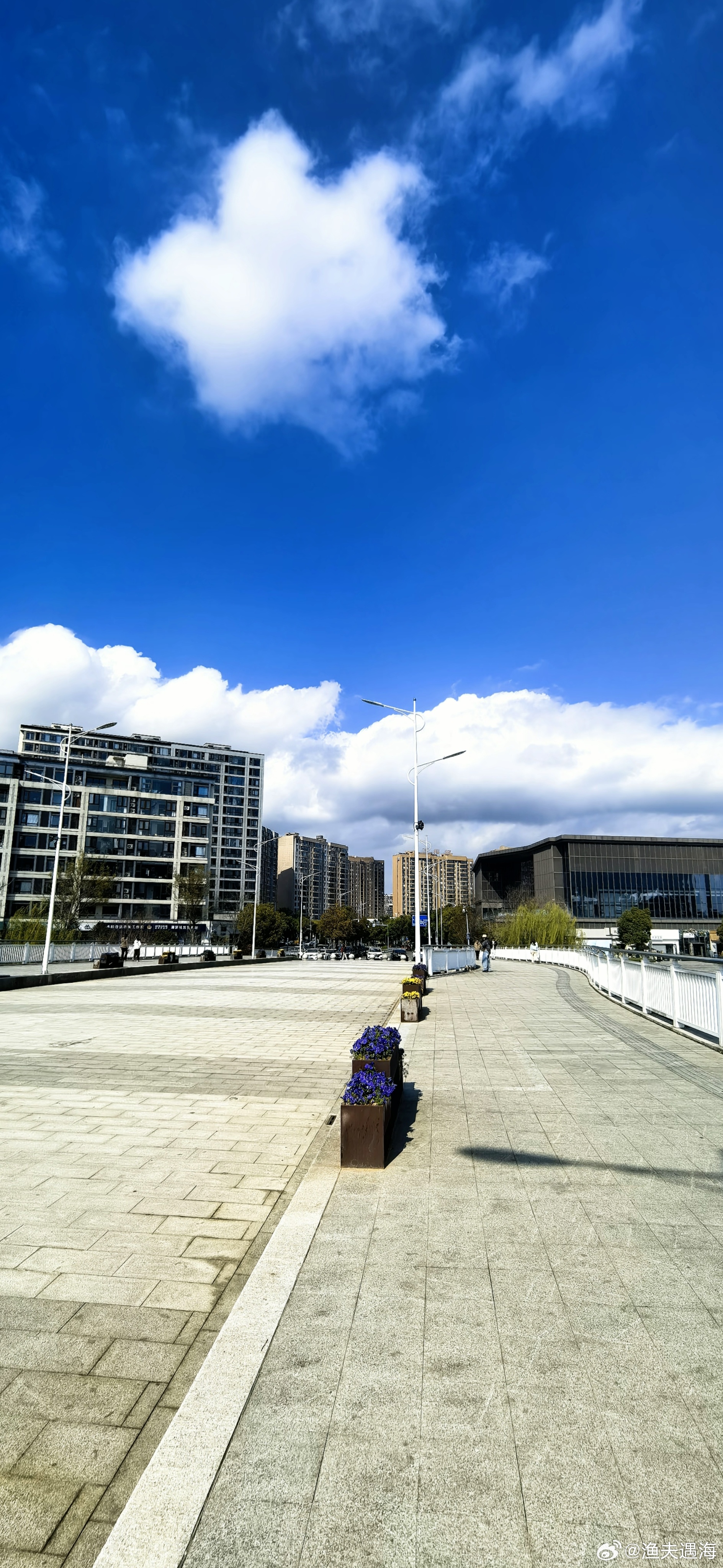 新壁纸  早安！ 