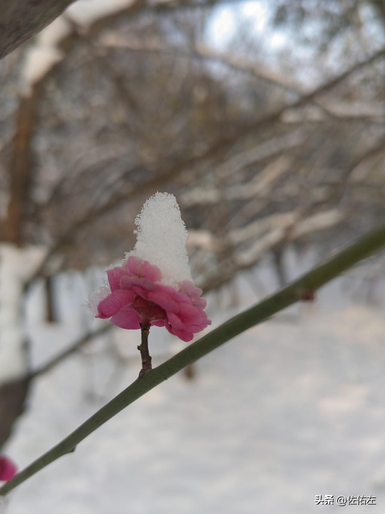 外甥女毕业后在武汉和重庆工作了多年。
去年初秋的一个晚上，工作了一天回到出租屋，