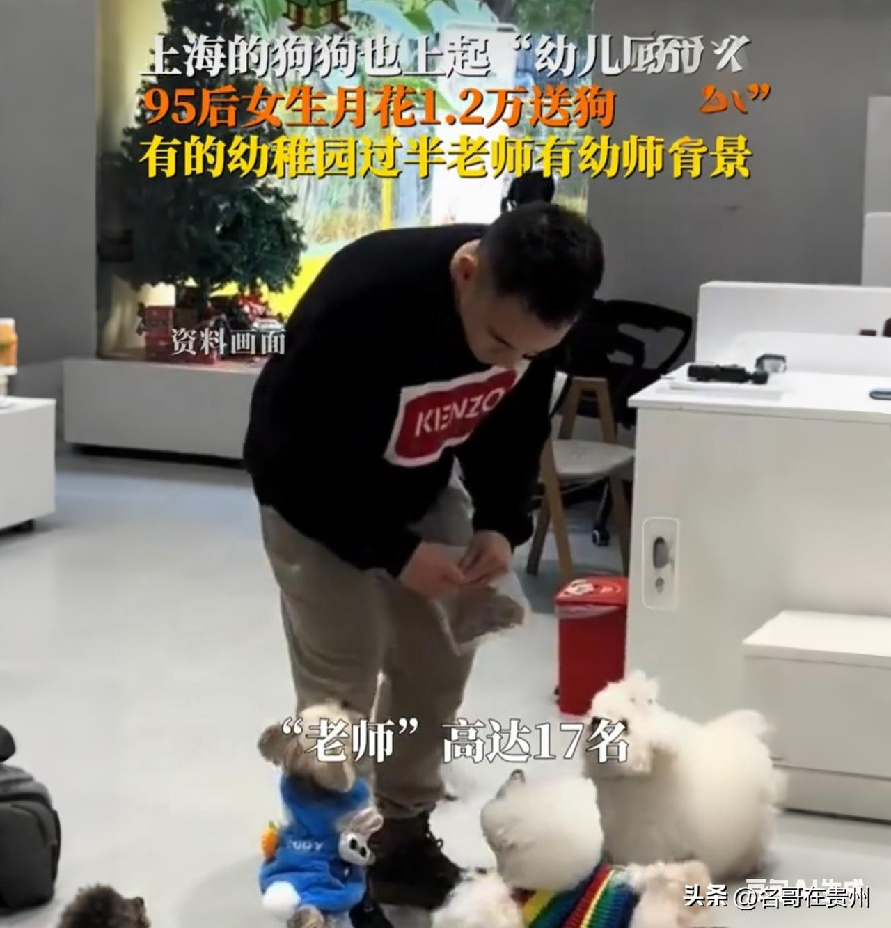 上海95后月花1万2送狗上学！幼师当老师，人不如狗？

你一个月工资才多少？上海