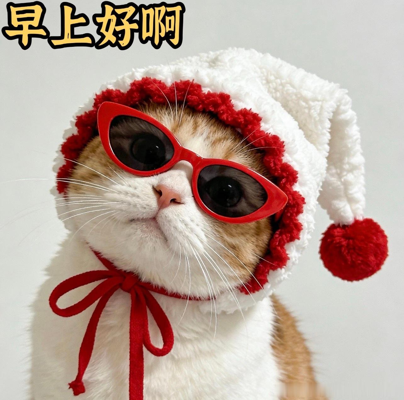 各位财迷早今天7.23，周四，新的一天祝各位点赞，评论支持的宝子：财源滚滚奔赴日