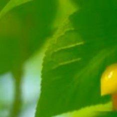 阳光信用阳光信用 每日一善 世界上的事情最忌讳的就是个十全十美，你看那天上的月亮