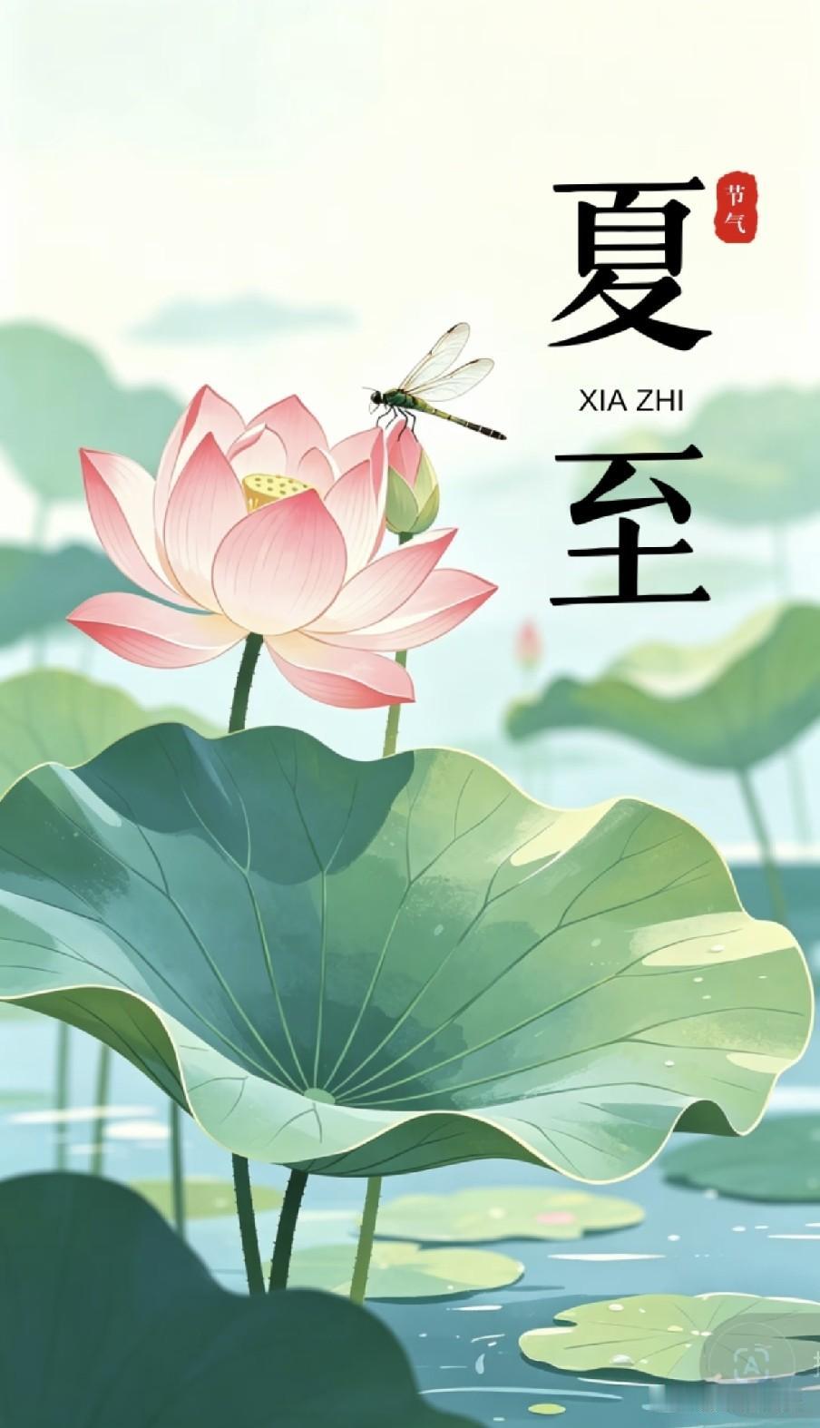 今日夏至，提醒中老年人：1不睡、2不进、3不记、4不回，别大意
夏至已至，这是一