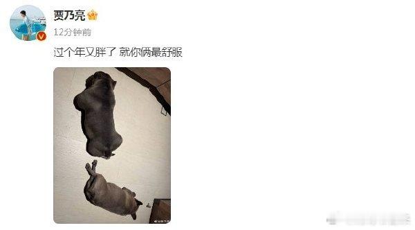 贾乃亮晒狗辟谣  原来是个乌龙！是演员高亮不幸突发疾病去世，其经济人发朋友图缅怀