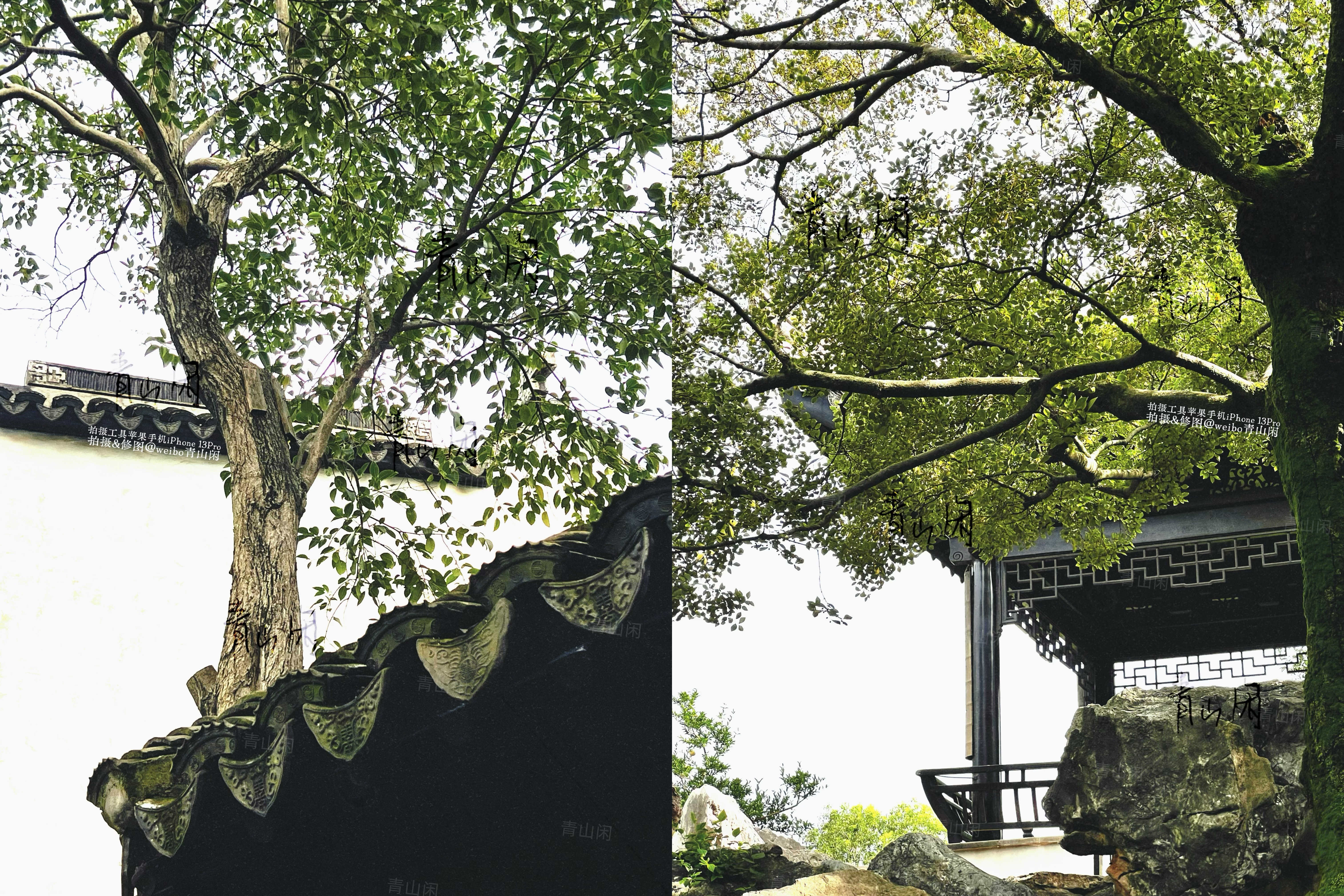 今天又来了据说乾隆六刷的我们苏州木渎古镇 严家花园(下图就是 好多影视剧取景地)