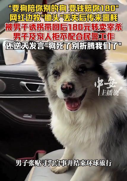 网红边牧被男子180元转卖宰杀，这种事情，就是看怎么定性了。

如果是狗走失的，