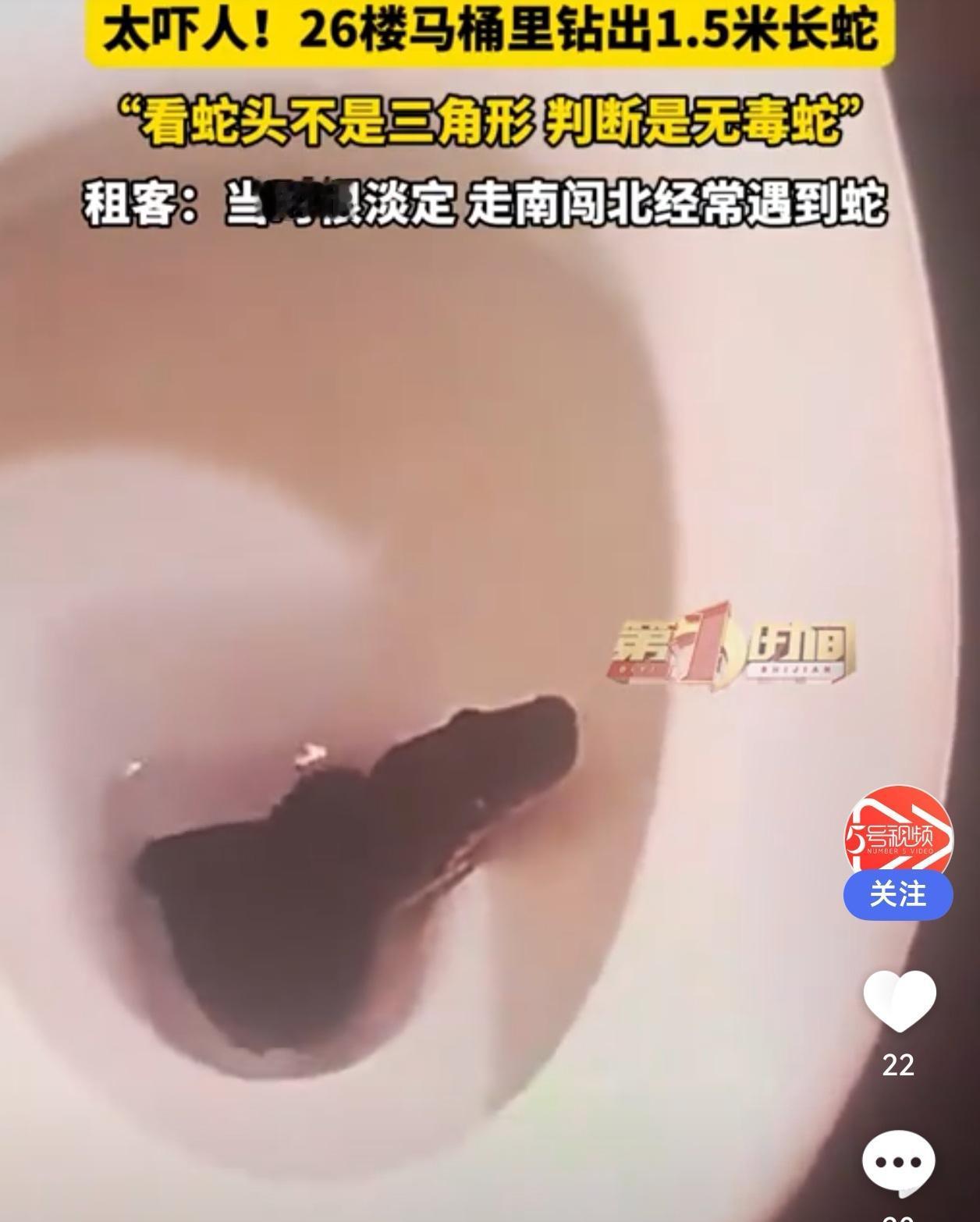 马桶惊现1.5米长蛇！成都26楼租户淡定回应：无毒，跑了就跑了

“蹲个马桶都能