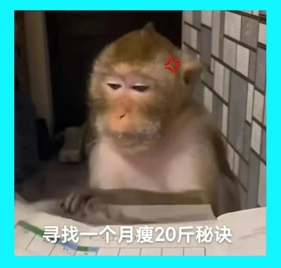 双鱼的委屈来得特别快，而且不是一点点。你可能只是顺口说了句“你太情绪化了”，他脑