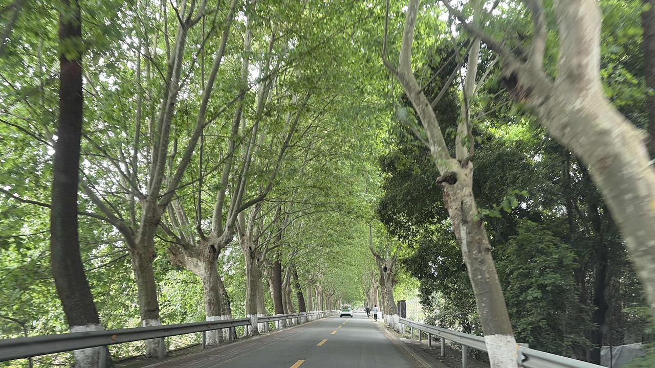康复日记｜五一青城山慢旅：堵车路上的小确幸

2026年05月02日 星期六 晴