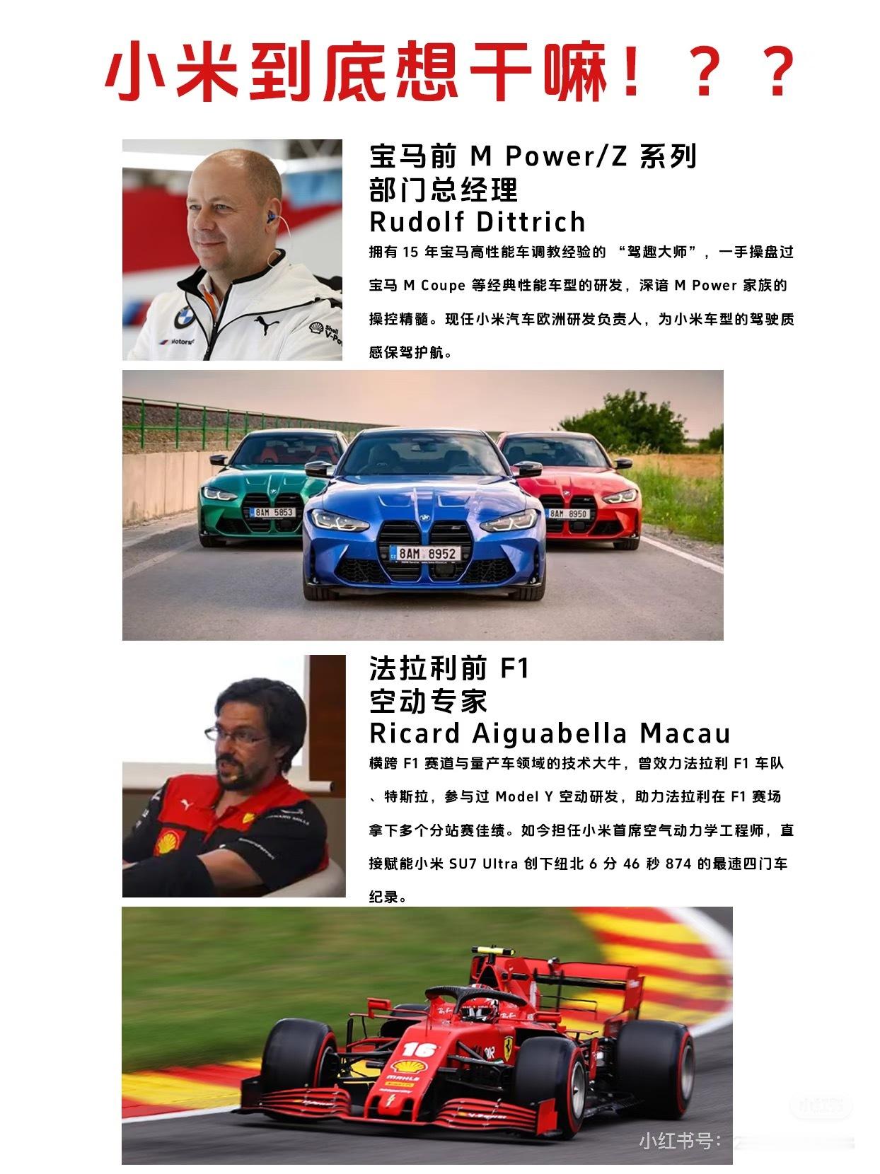 大家不觉得小米欧洲研发中心这帮人很诡异吗这帮人tm钱早就赚够了！根本不是能挖来的