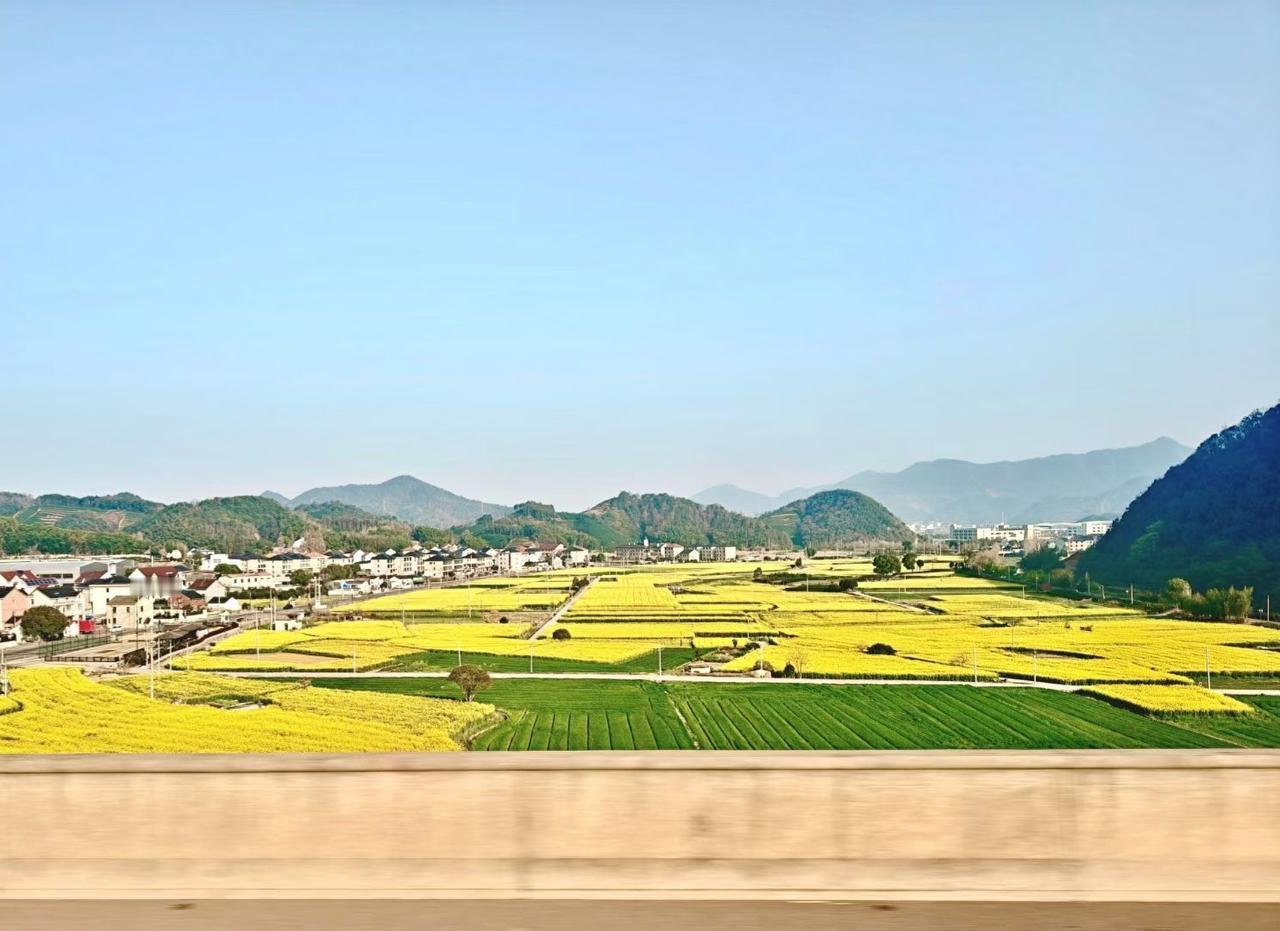 分享一下你拍的春天吧一路春光，满目金黄，青山伴村落，岁月皆温柔。