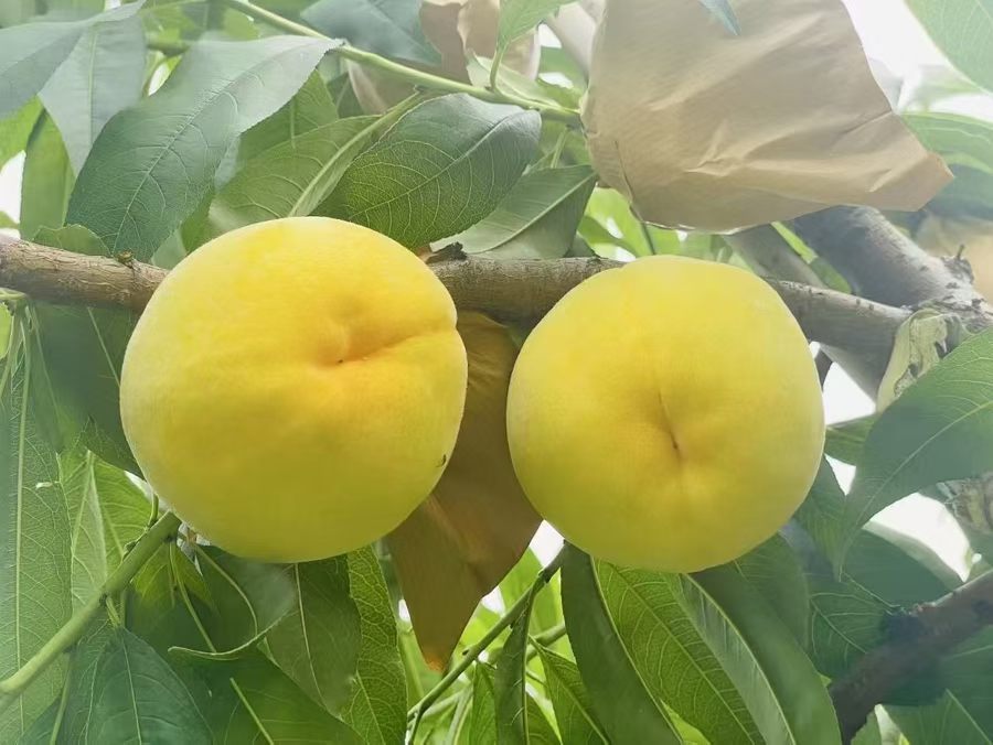 今日立秋，换个季节继续热爱生活。 