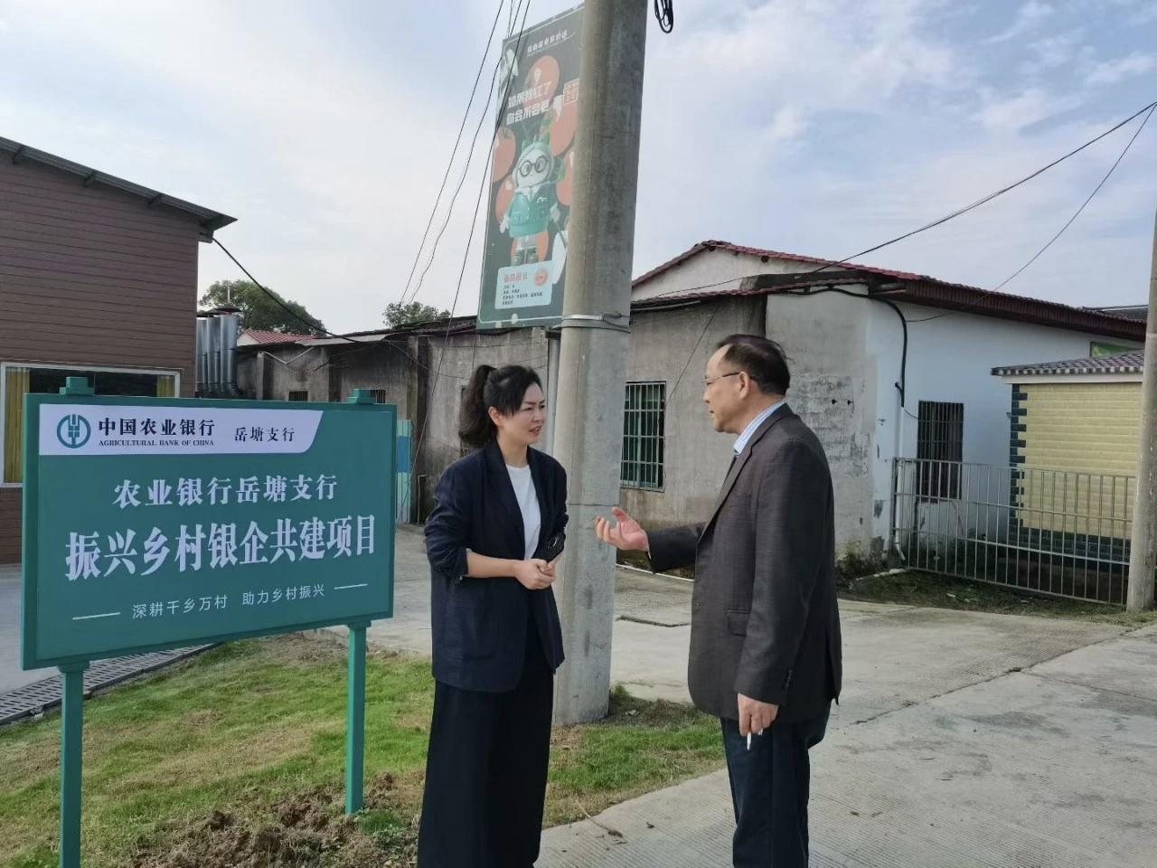 实战案例佐证组合打法实力成果。
谈教授团队团队早年也走过只输出图纸的老路，发现落