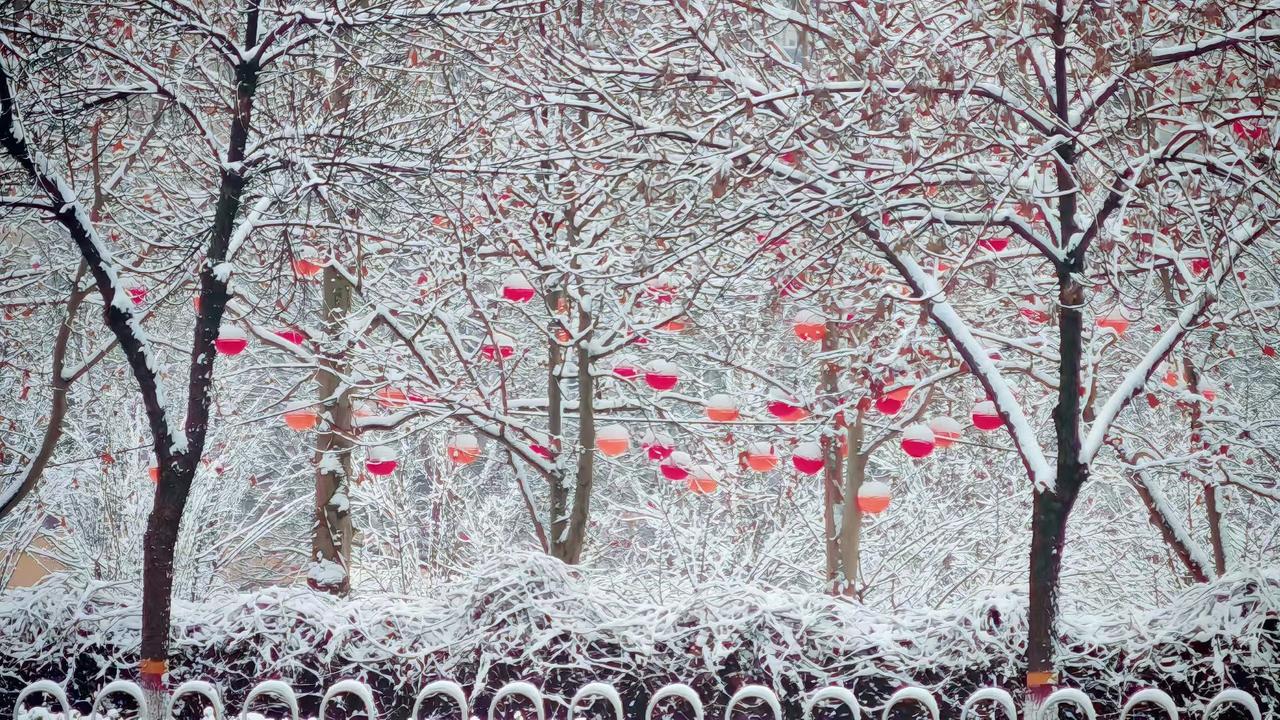 2. 琼枝缀雪，灯火藏春，这一抹红白相映，便是冬日里最动人的年味诗行。
3. 雪