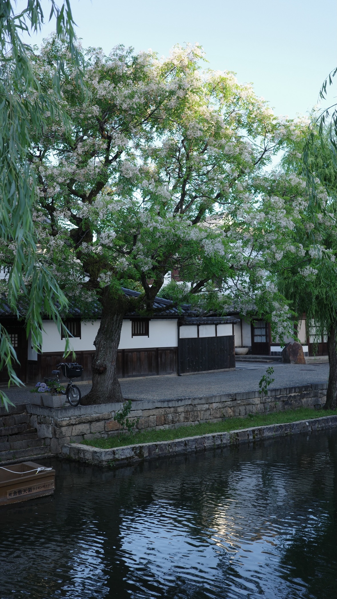 松平璃子