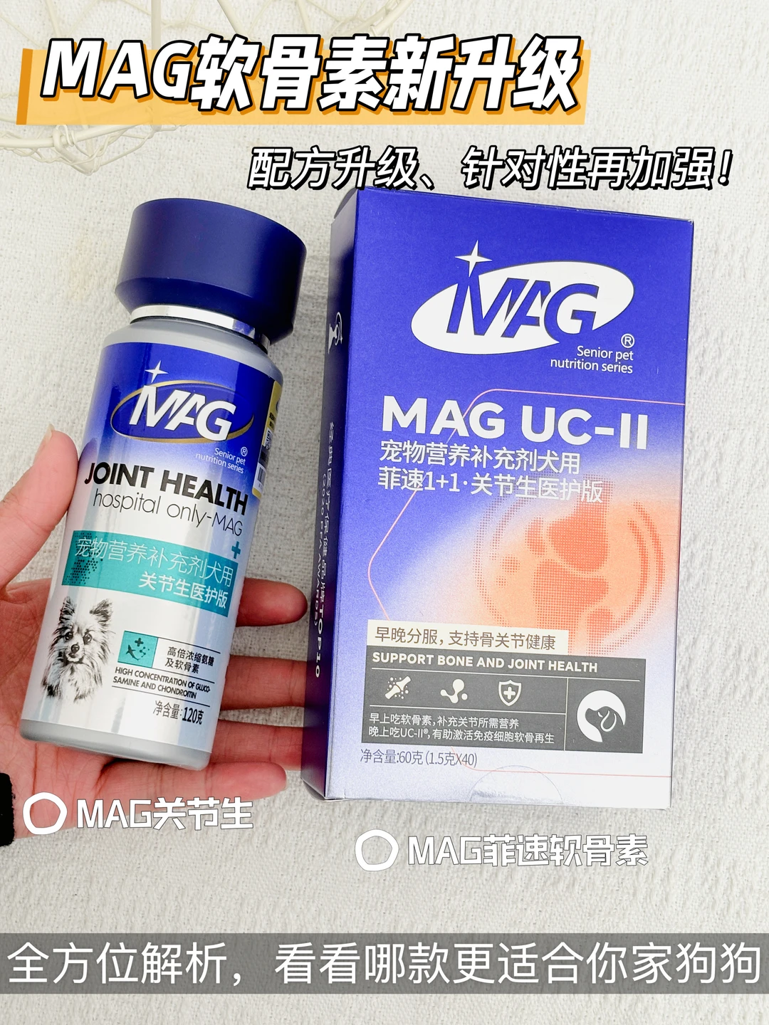 MAG软骨素新升级，你家狗狗选对了吗？