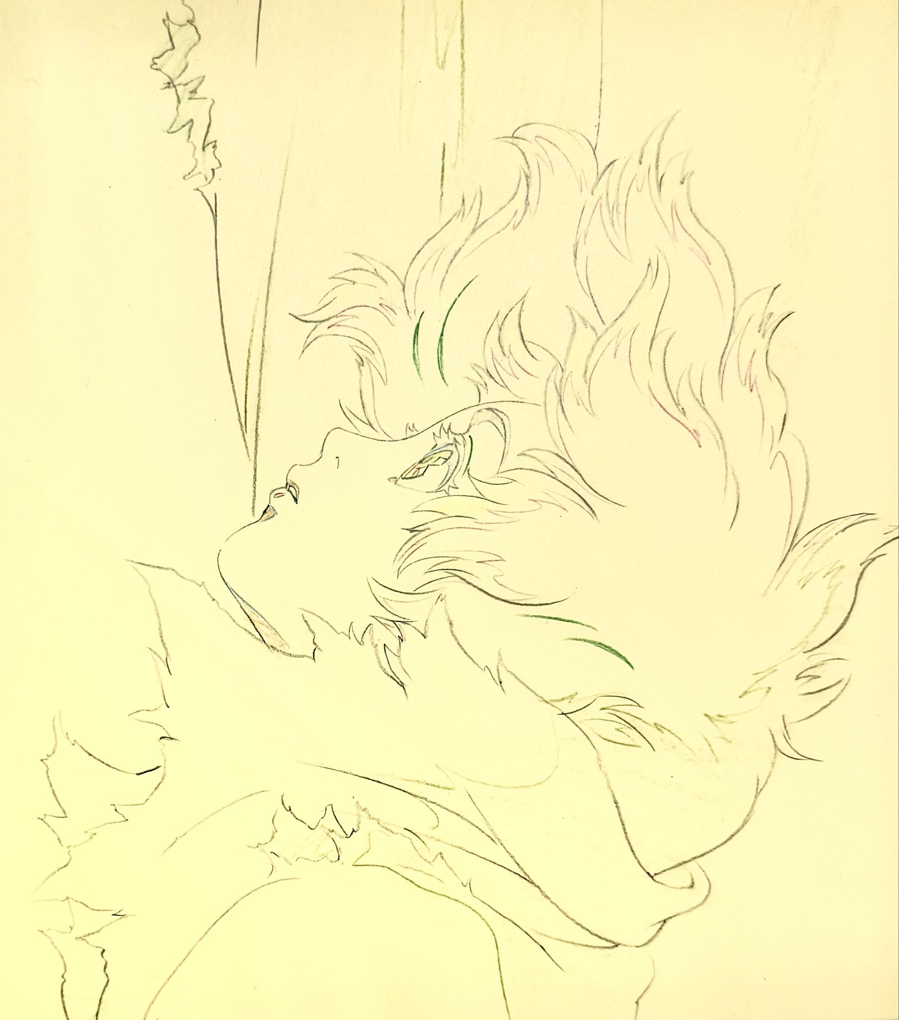 【壁姐姐的放大镜】动画师名仓靖博（《大都会》角色设计、总作画监督，《天使之卵》作