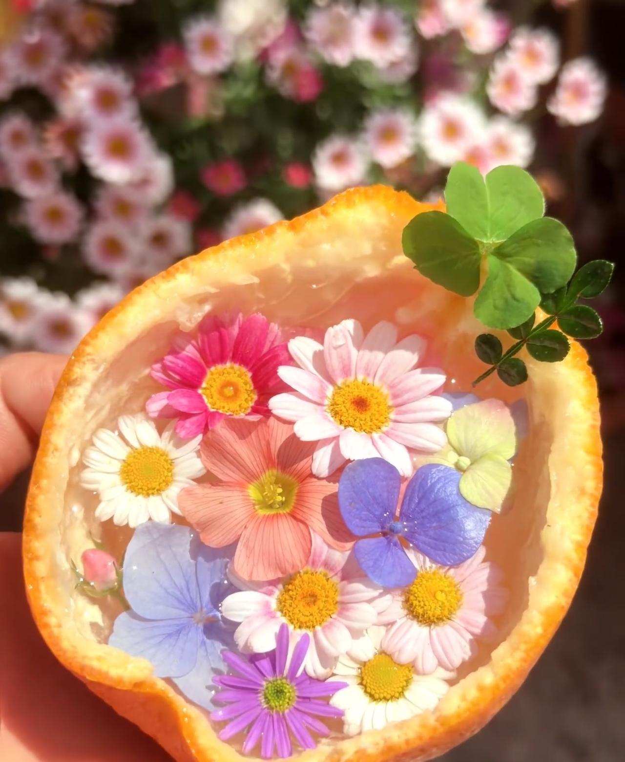 把春天装进橘子壳里~🌸
谁懂啊？装的春天的浪漫