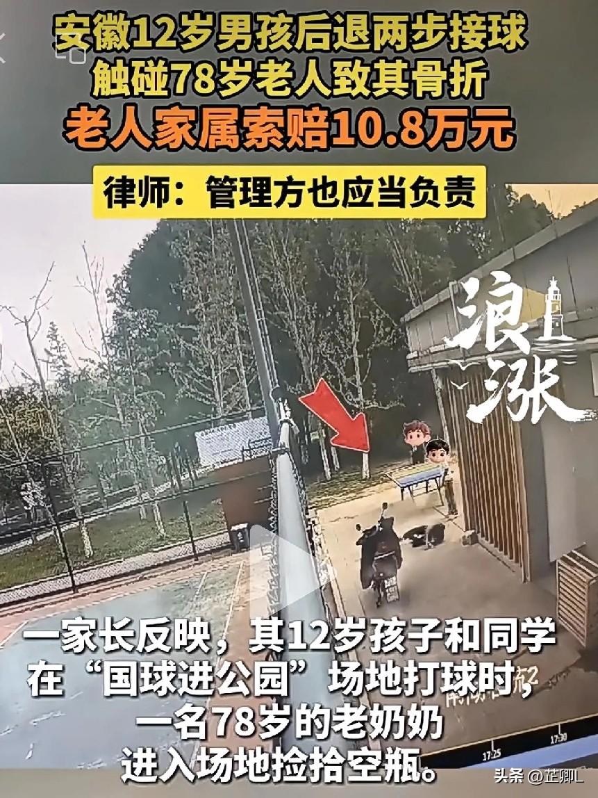 铜陵12岁娃公园打乒乓，碰倒捡瓶老人致九级伤残！法院判各赔50%，家长不服：要上