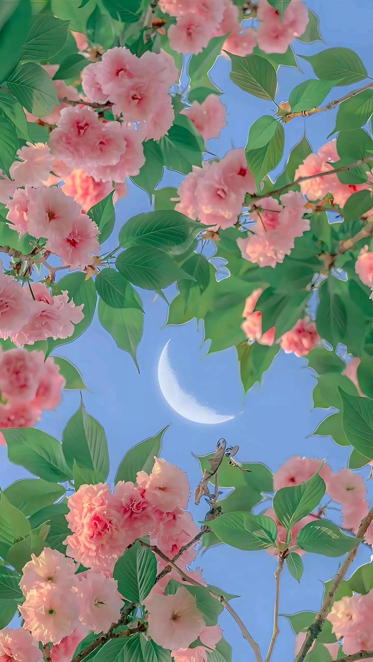 《沁园春·立春》

北国寒天，江南花绽，节序轮还。叹冰封雪舞，银装素裹，风柔水暖
