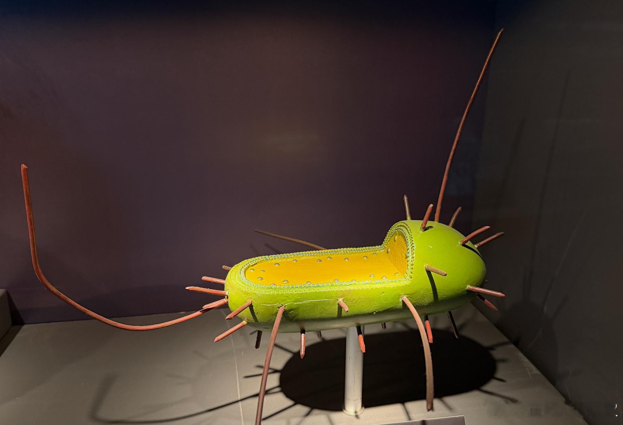 医院回应最快女护士张水华被处分 几乎所有的职场禁忌和坑，都被这位姐姐在短短的几分