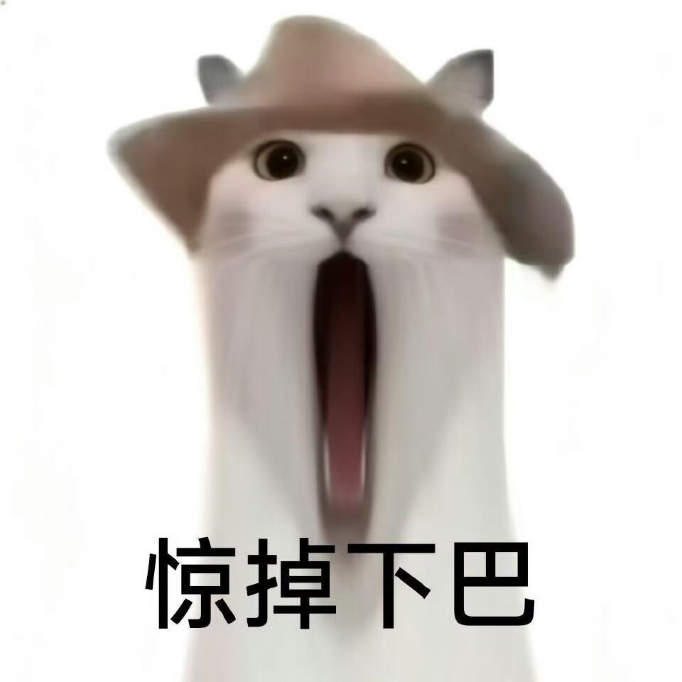 不知道什么时候就会被姐姐的交友圈惊到
