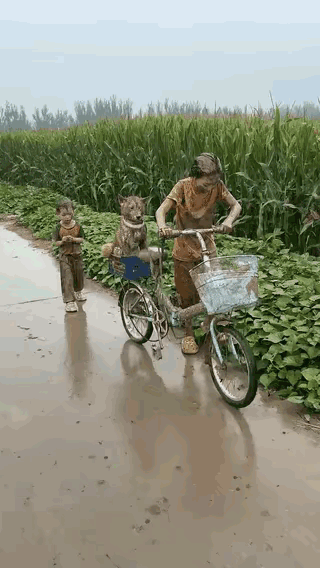 怎么办……是先打还是先洗
