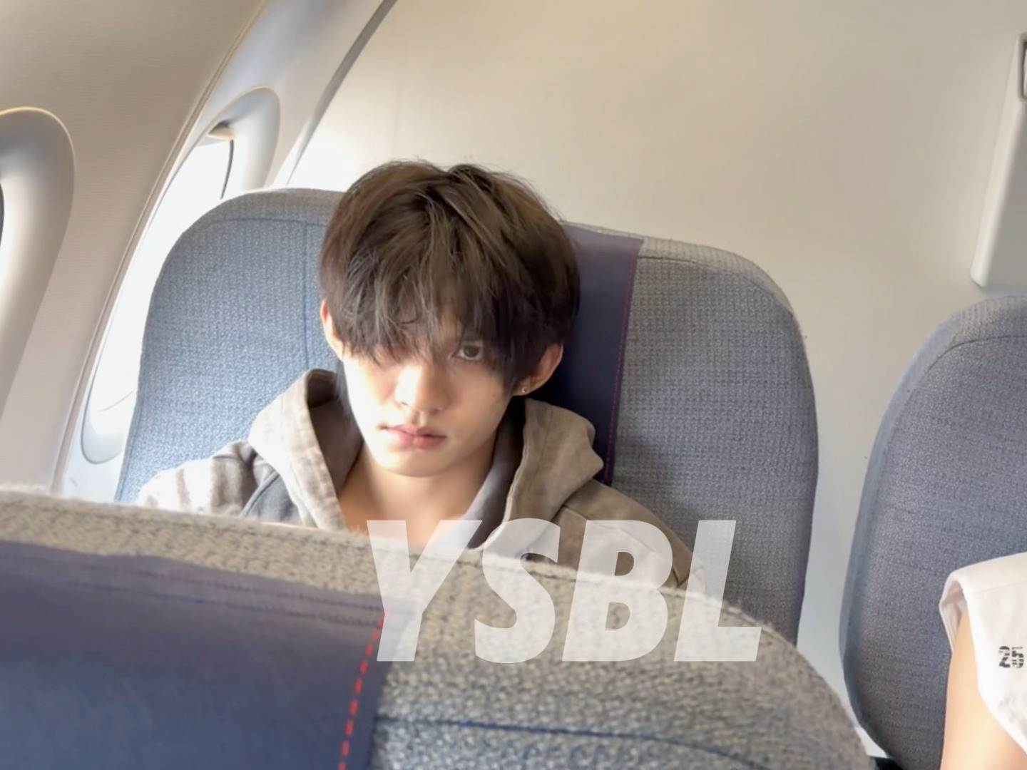 小狗看世界 