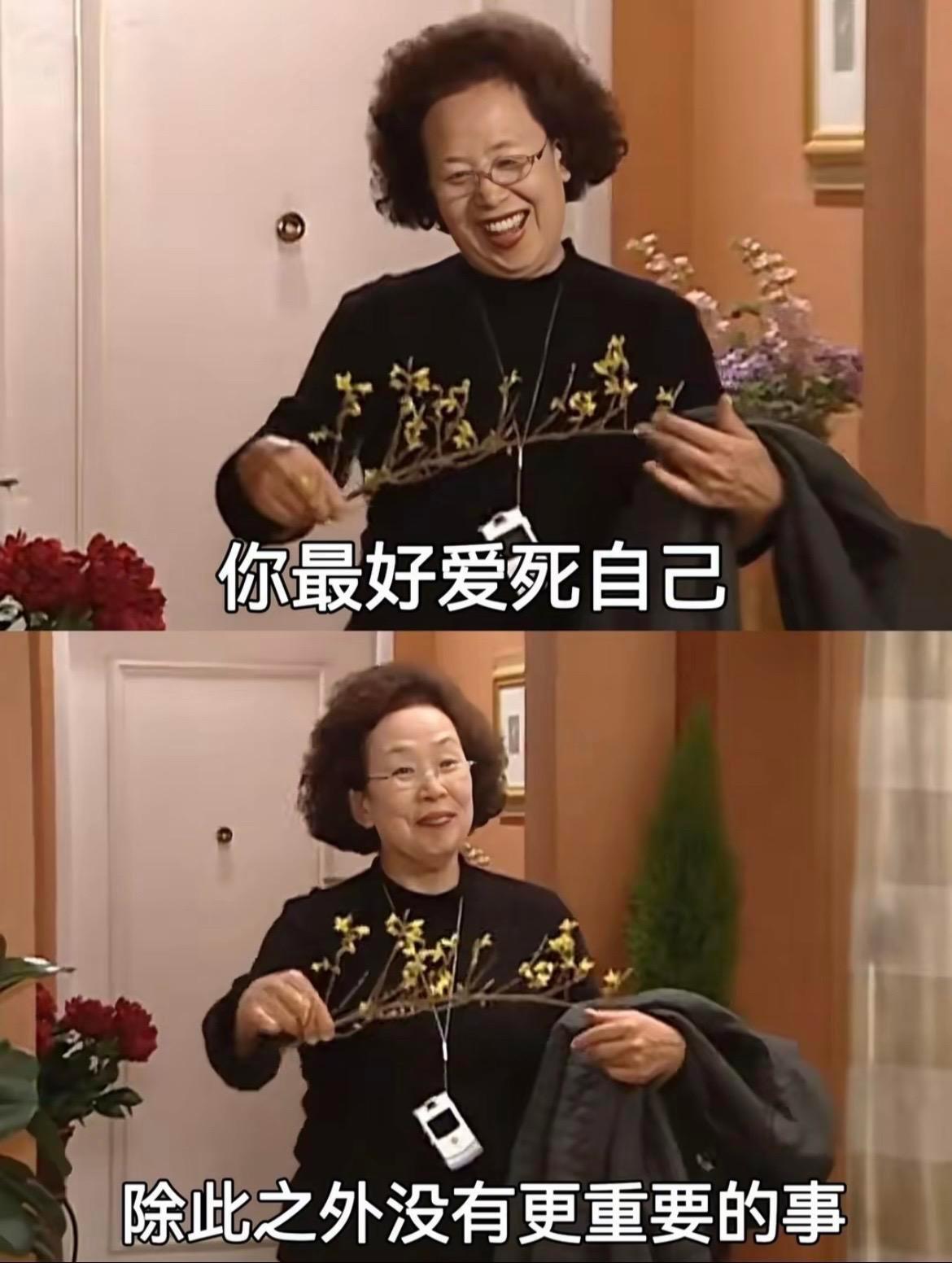 在上海打理好自己的小妙招都市奔波别弄丢自己，学着好好养回生命力。去往上海的街巷公