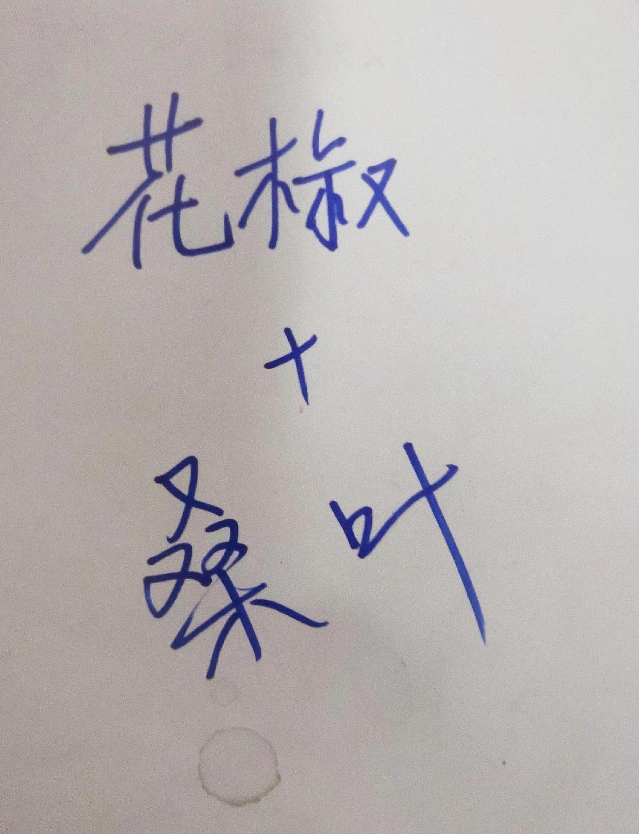 ，丁俊晖10比5战胜吉尔伯特世中国德比来了，16强 桑叶 花椒下轮对战赵心童 丁