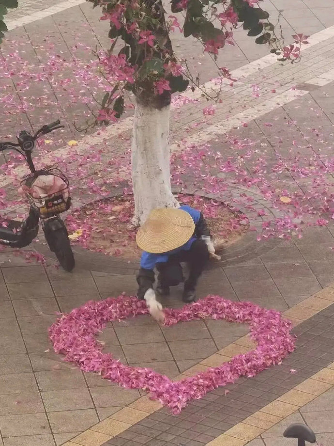 平凡与浪漫