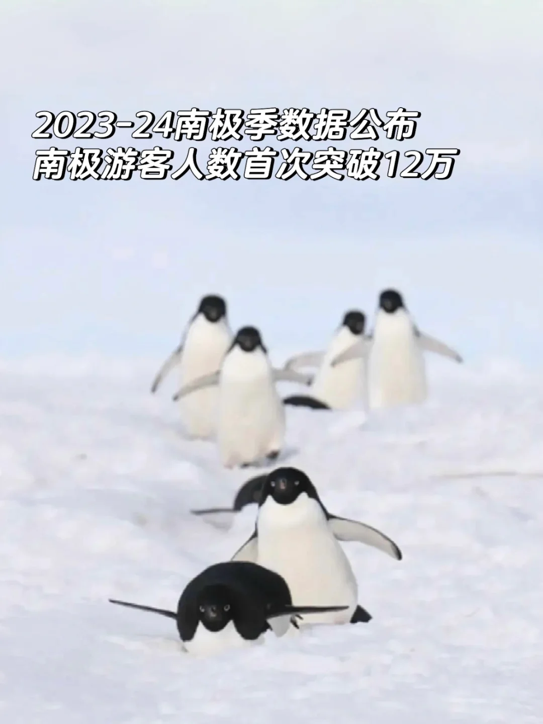 南极游客数量122,072人次，有你吗？