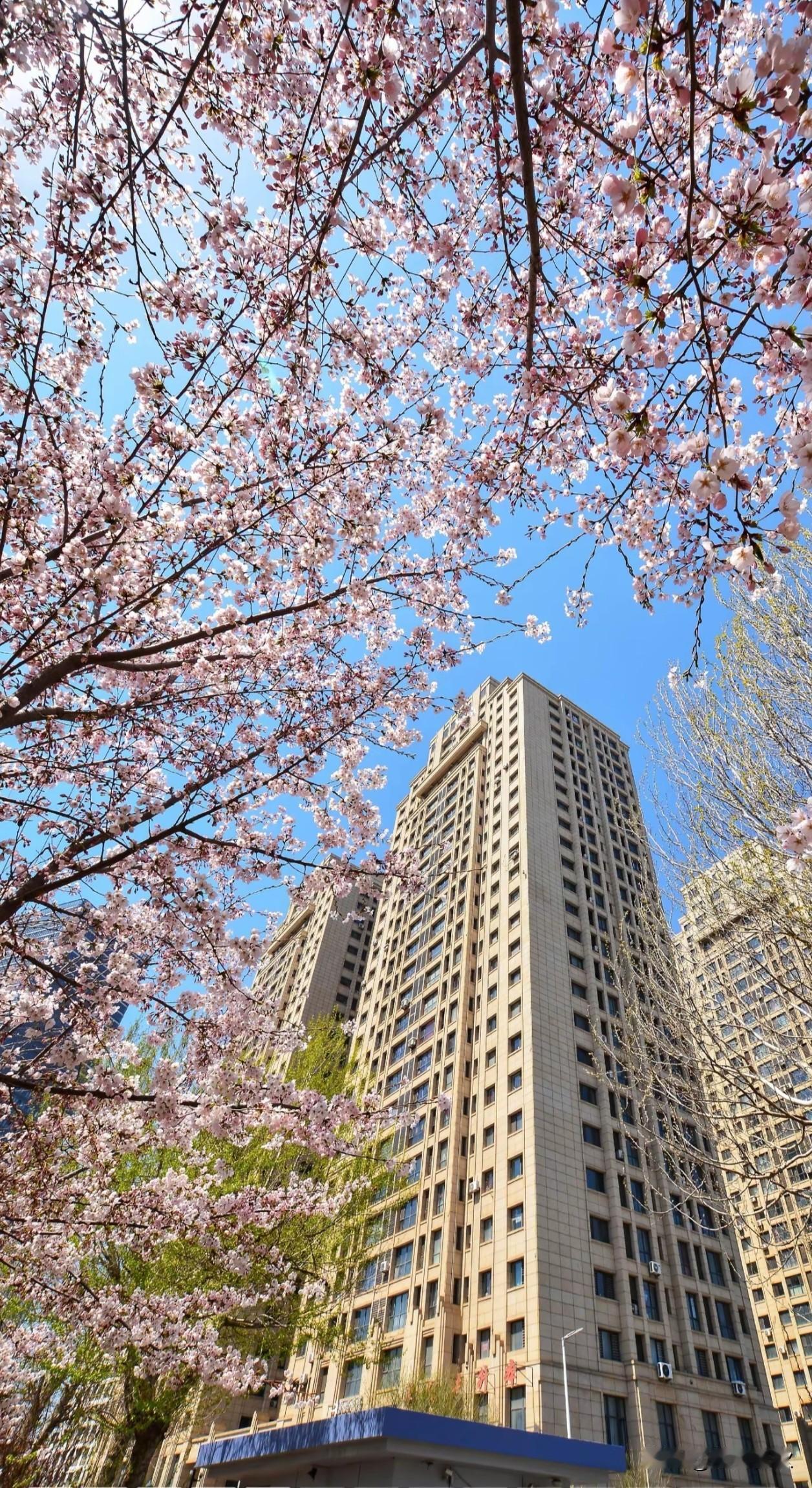 今天是4月20日星期一
今日谷雨~

春天的最后一个节气，
人间芳菲己向暖，
时