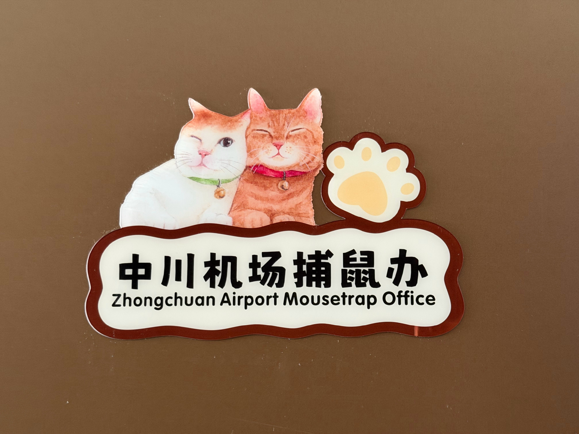 兰州机场捕鼠办偷玩逗猫棒这工作条件简直都让我嫉妒了不过话说回来，兰州机场的做法让