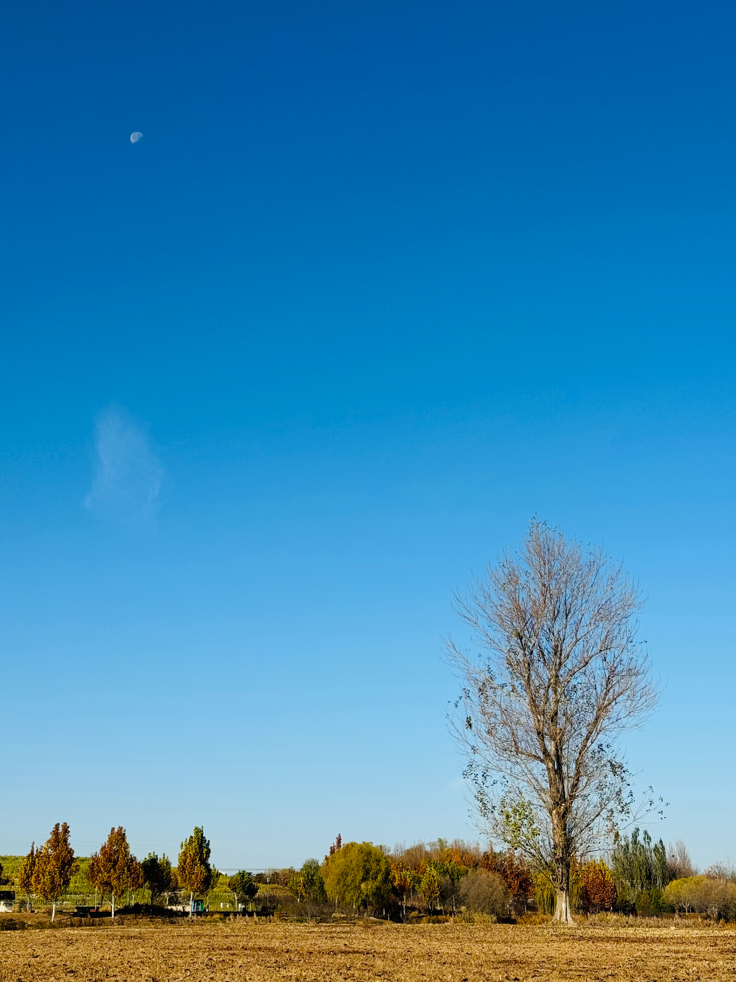 晨跑结束，最过瘾的是眼睛！自然中的层次真是天成之美。 ​​​