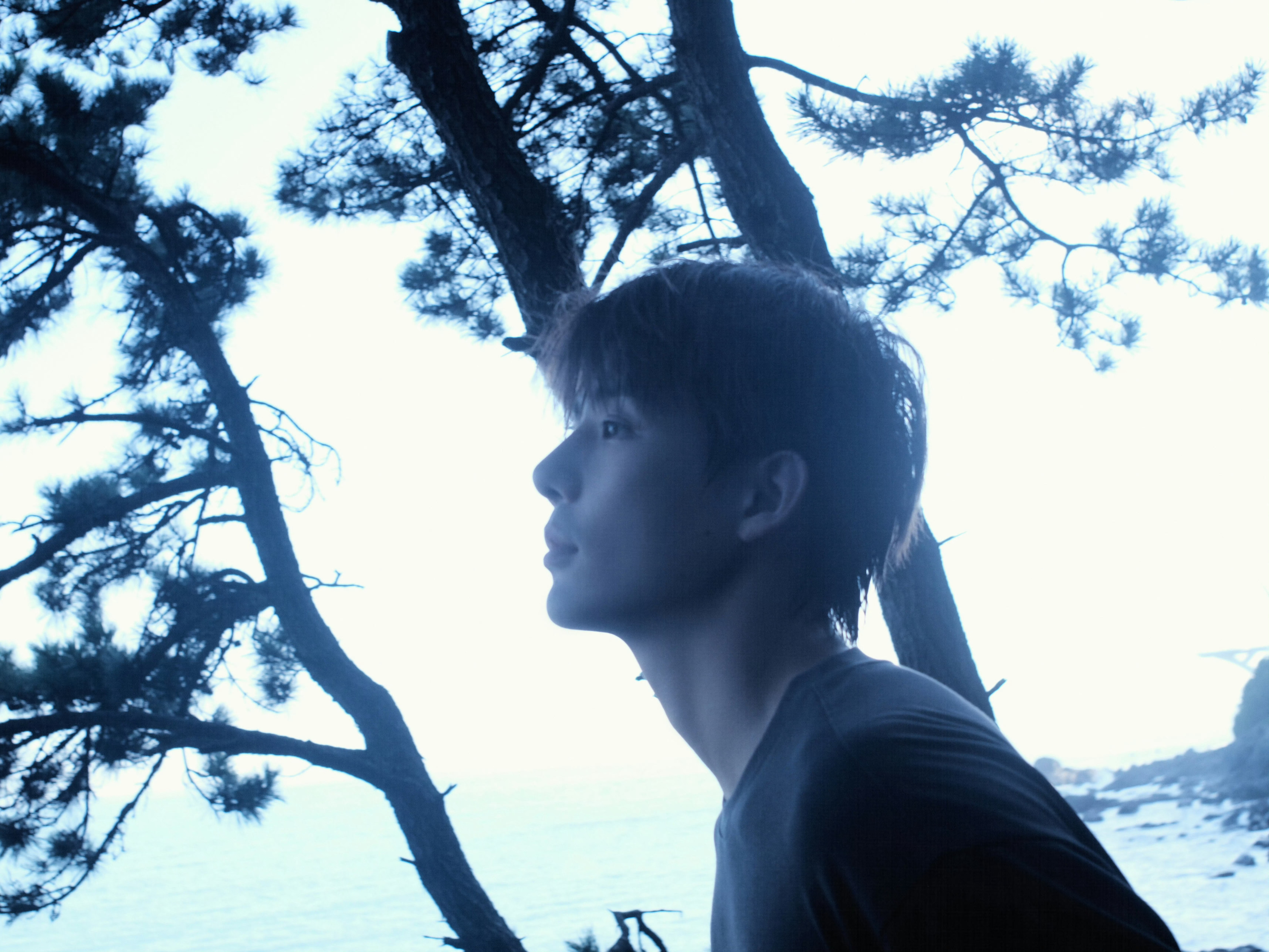 王安宇季清和青年演员王安宇 你就像夜空中最亮的星，引领我穿越黑暗，找到希望的方向