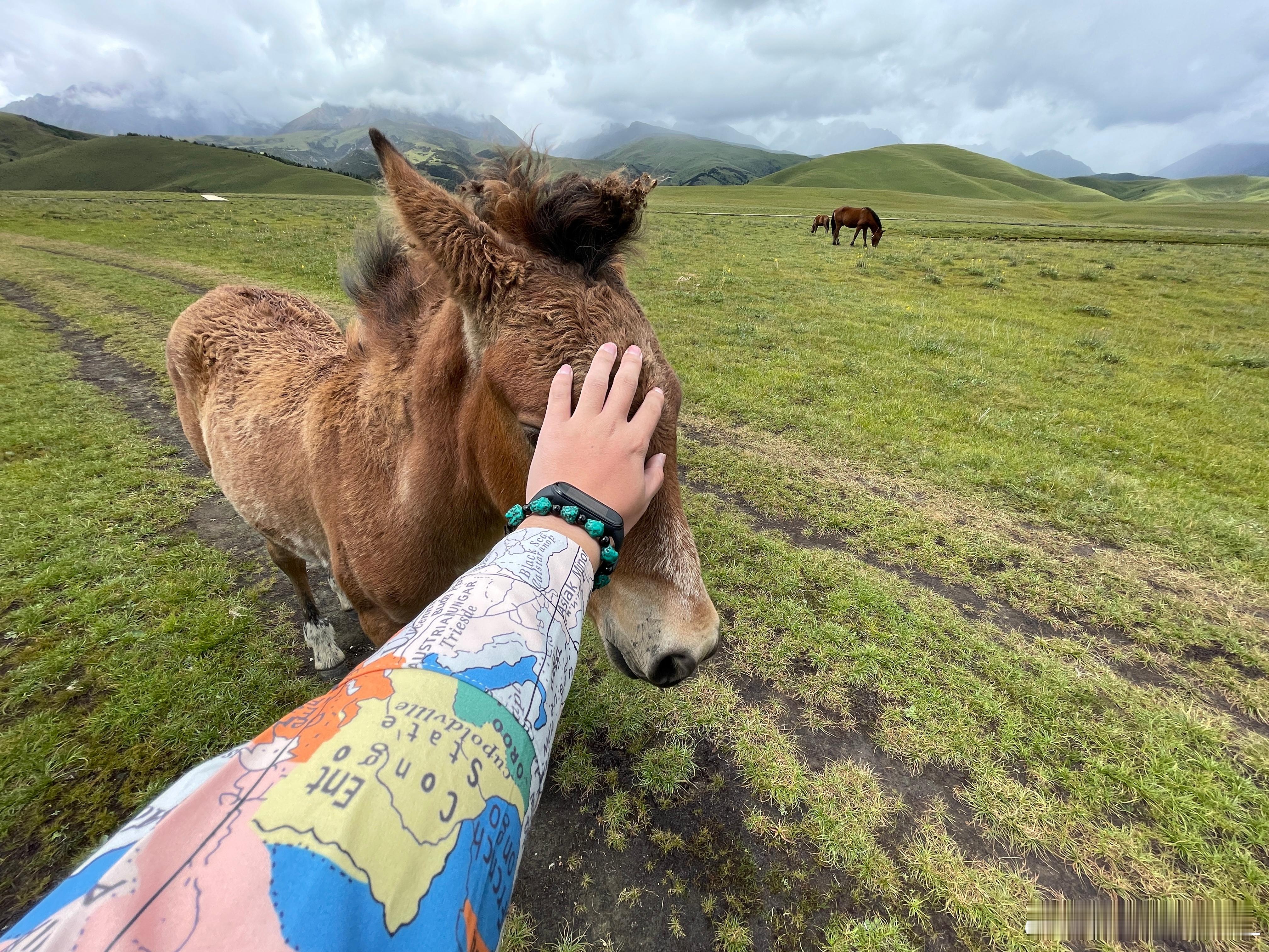 翻相册，突然又变的不开心了。多年前，我第一次误打误撞去到格聂。我当时觉得世界上怎