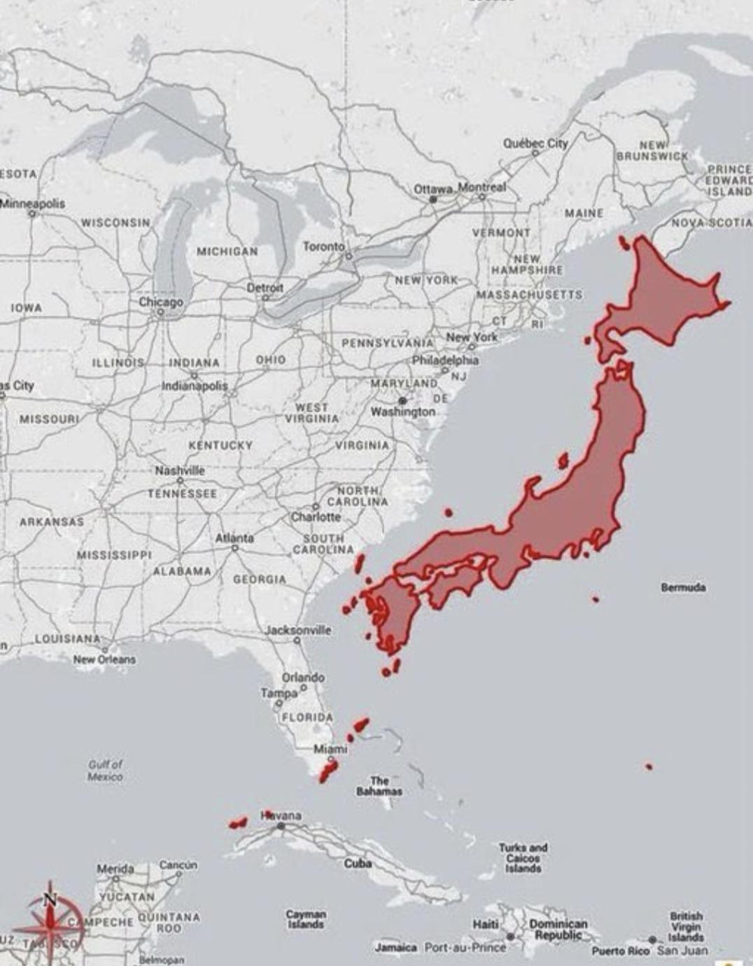 谁说美国红脖子傻，你看别人出的这个主意，那叫一个皆大欢喜。
已知情况：美国加州喜