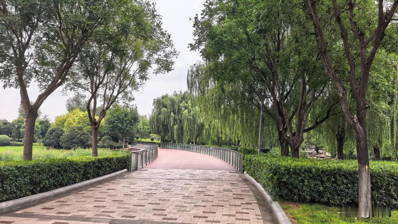 【七绝·雨送新凉】
雨送新凉夏入秋，
清风过野稻香留。
梧桐半落窗前影，
几许蝉