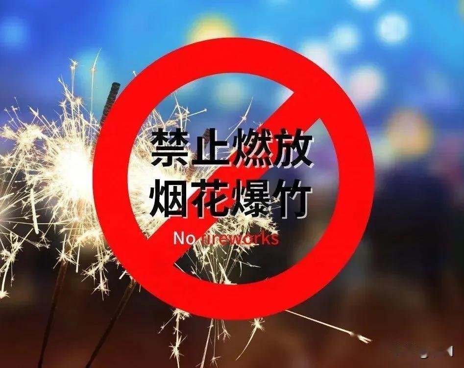周口禁燃年味淡，往昔繁象散云间。
长街挂彩空添色，若使离人念故园。
童稚空怀燃炮