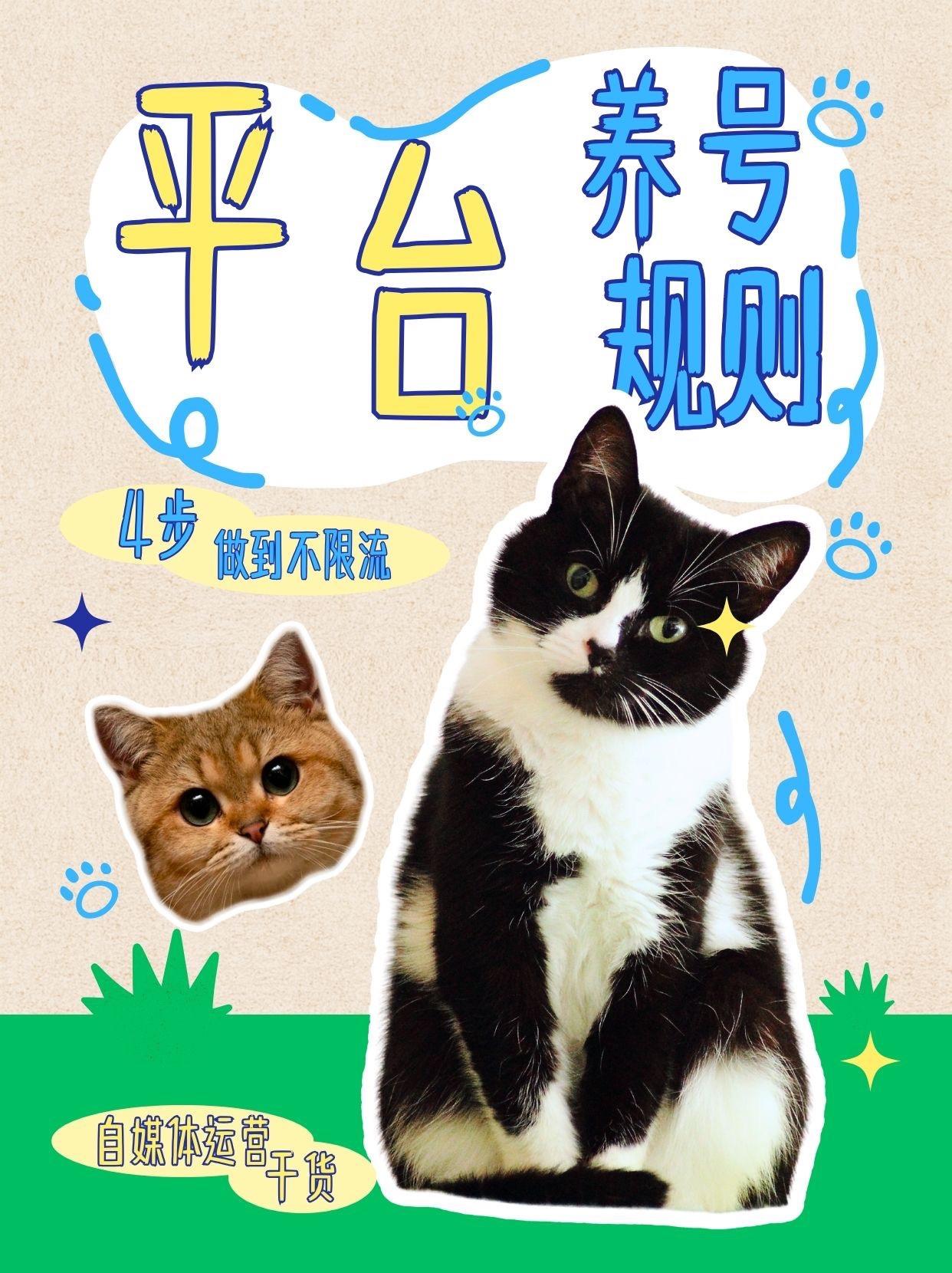 平台养号规则，你中招了吗？