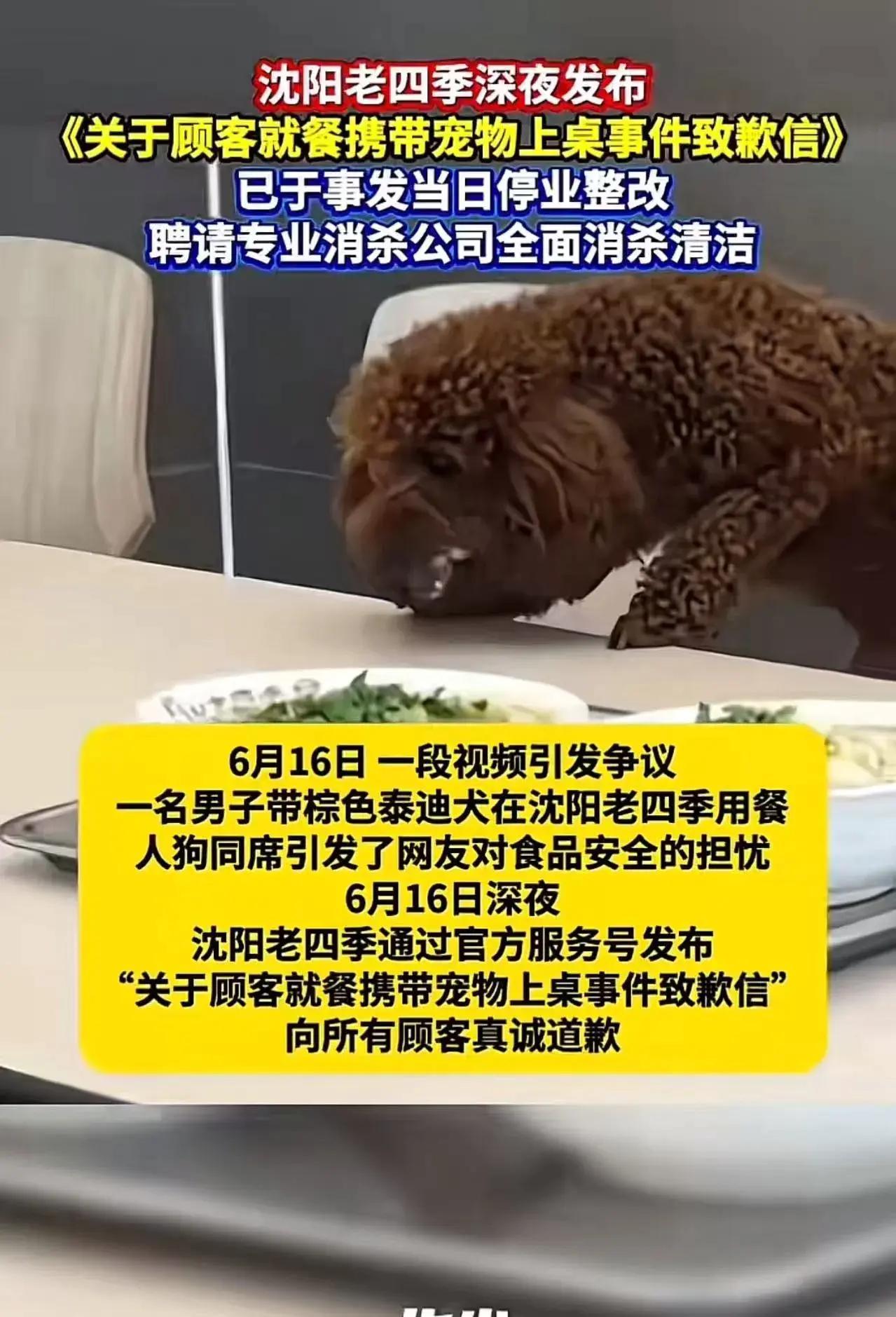 一只狗，咬死了一家经营20多年老店的“口碑”！有人替店家喊冤，可是店家真的冤枉吗