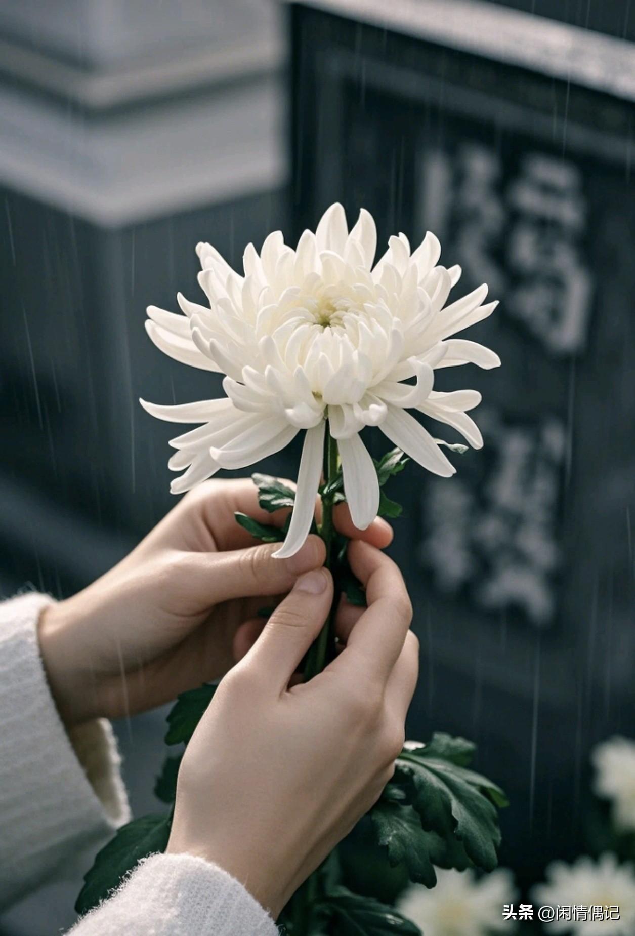 今年的清明节，是妈妈离开我的第三个清明节。
人在南方，没能回去给她扫墓，心里一直