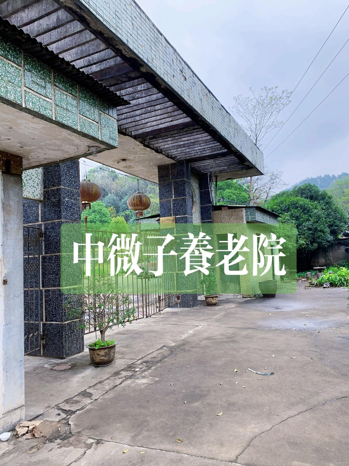 中微子养老院。曾经，这里是老人们安度晚年的温馨家园。老人们在院子里晒太...