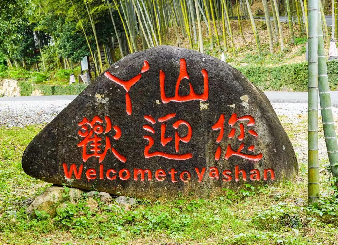 🌸✨【丫山秋冬奇景】✨🌸
朋友们，今天要带你们走进一个如梦如幻的地方——江西