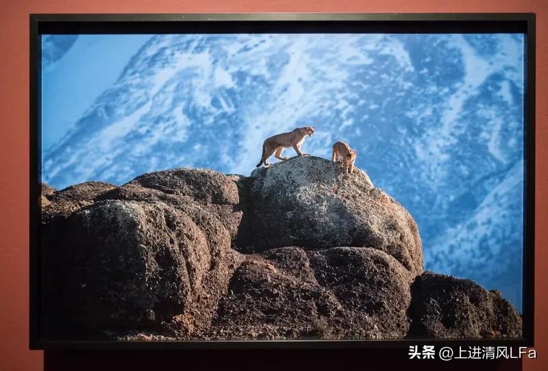 美以打击伊朗，公开说的是核武、导弹问题，实则各怀鬼胎。
以色列作为主动方，把伊朗