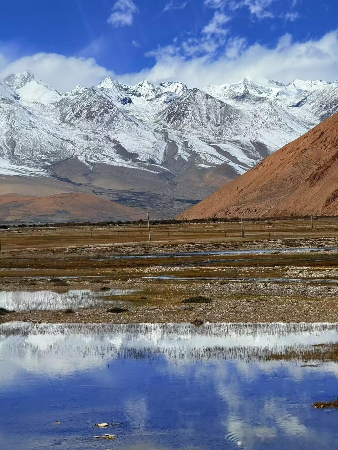 分享图片 ​​​