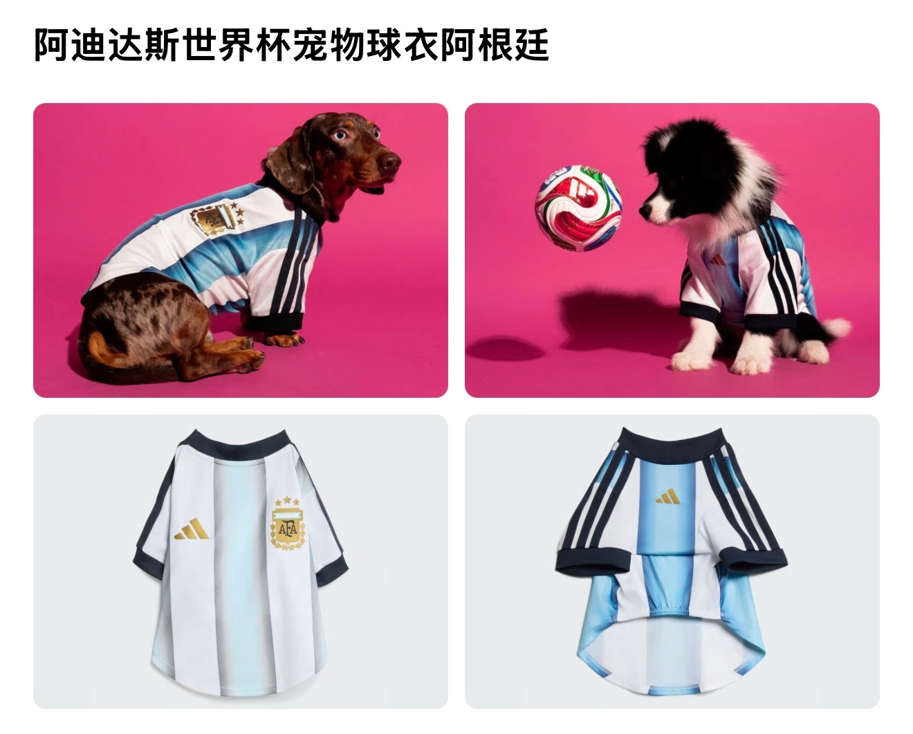 阿迪好会啊 好多名字叫梅西的猫猫狗狗都可以穿了 