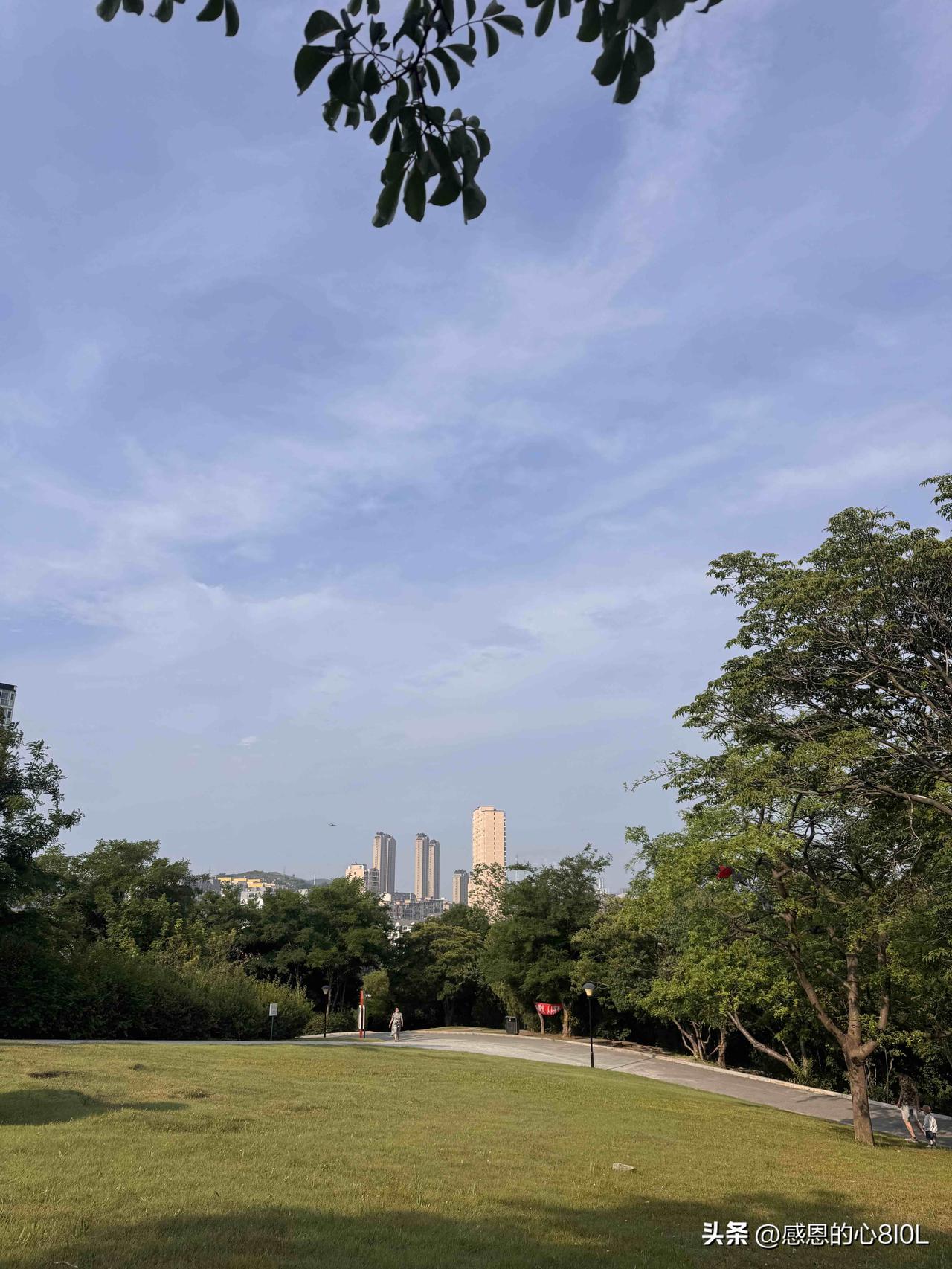 我是个61岁的小老太太，退休后就一直宅在家里，没出去找工作。
退休后，社交基本为